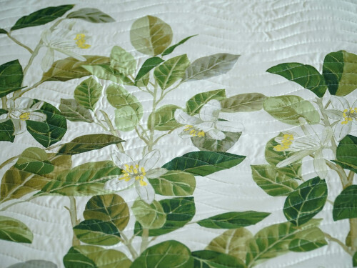 bouti-dabeli-verde-250x270-cama-de-150_3..jpg